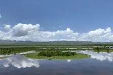 mk在线入口 -?漭鹆许欭鬞