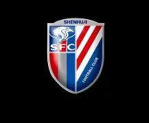 关于窗口期上海申花单刀错失——欧冠节点到来，管理层满意，轮换策略成焦点的信息